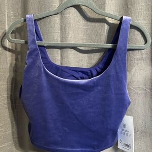 Athleta Velvet Cut Out Crop D-DD Medium NWT